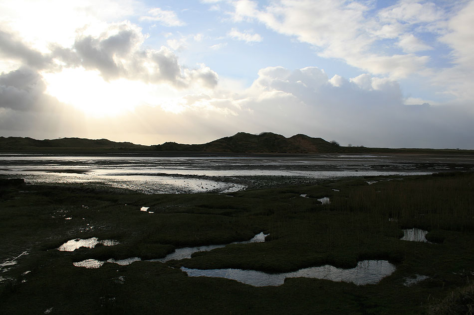 Cumbrian marshes