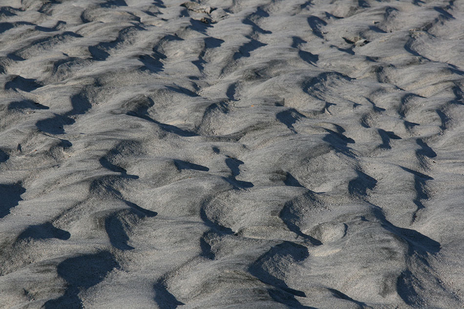 Calgary dunes